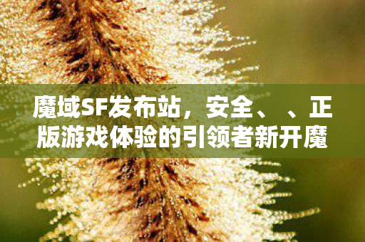 魔域SF发布站，安全、 、正版游戏体验的引领者新开魔域sf