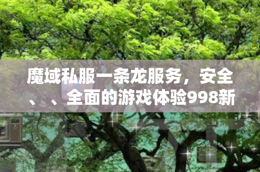 魔域私服一条龙服务，安全、 、全面的游戏体验998新开魔域私服