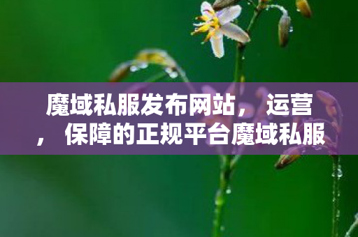 魔域私服发布网站， 运营， 保障的正规平台魔域私服网站