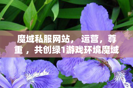 魔域私服网站， 运营，尊重 ，共创绿1游戏环境魔域sf网