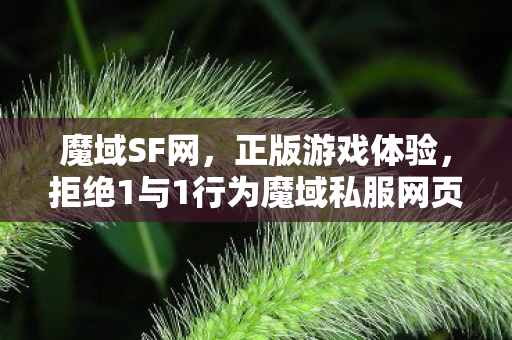 魔域SF网，正版游戏体验，拒绝1与1行为魔域私服网页