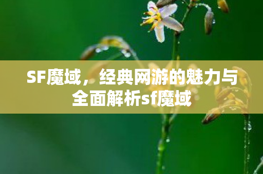 SF魔域，经典网游的魅力与全面解析sf魔域