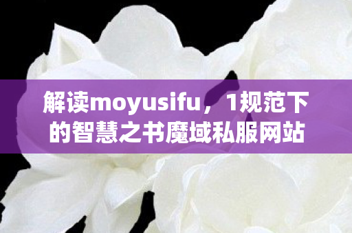 解读moyusifu，1规范下的智慧之书魔域私服网站