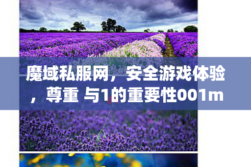 魔域私服网，安全游戏体验，尊重 与1的重要性001mysf魔域发布网