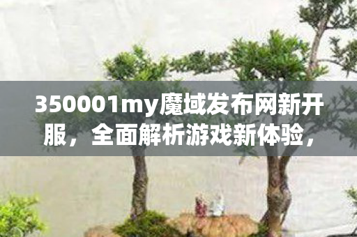 350001my魔域发布网新开服，全面解析游戏新体验， 畅玩无阻魔域新开变态私服