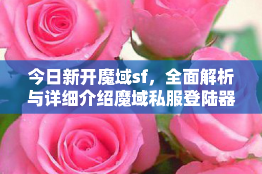 今日新开魔域sf，全面解析与详细介绍魔域私服登陆器