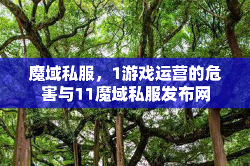 魔域私服，1游戏运营的危害与11魔域私服发布网