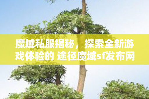 魔域私服揭秘，探索全新游戏体验的 途径魔域sf发布网