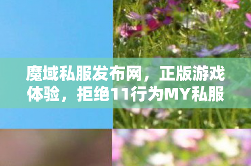 魔域私服发布网，正版游戏体验，拒绝11行为MY私服