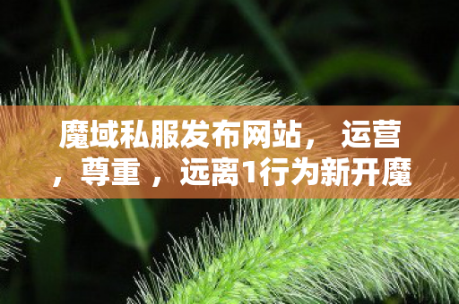 魔域私服发布网站， 运营，尊重 ，远离1行为新开魔域sf