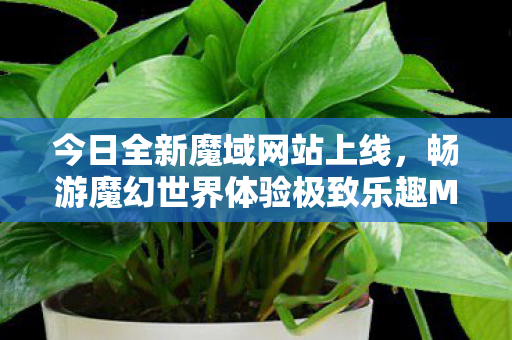 今日全新魔域网站上线，畅游魔幻世界体验极致乐趣MY私服发布网