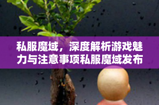 私服魔域，深度解析游戏魅力与注意事项私服魔域发布网站