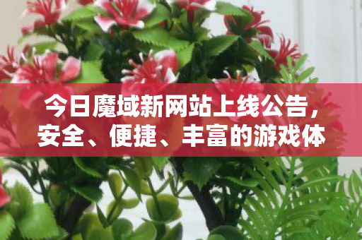 今日魔域新网站上线公告，安全、便捷、丰富的游戏体验等你来探索网页私服魔域