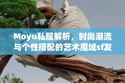 Moyu私服解析，时尚潮流与个性搭配的艺术魔域sf发布站