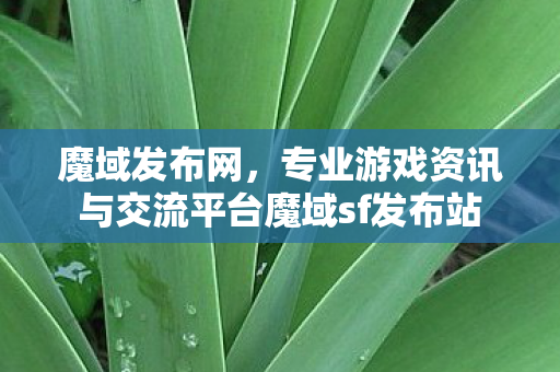 魔域发布网，专业游戏资讯与交流平台魔域sf发布站