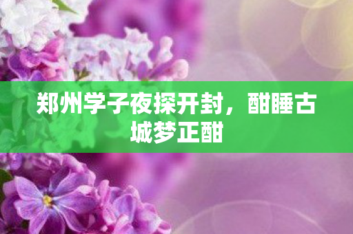 郑州学子夜探开封，酣睡古城梦正酣
