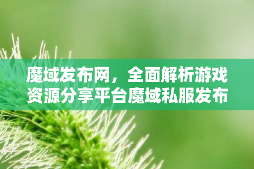 魔域发布网，全面解析游戏资源分享平台魔域私服发布网