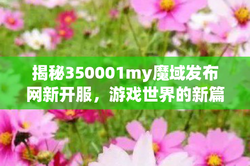 揭秘350001my魔域发布网新开服，游戏世界的新篇章找魔域私服发布网