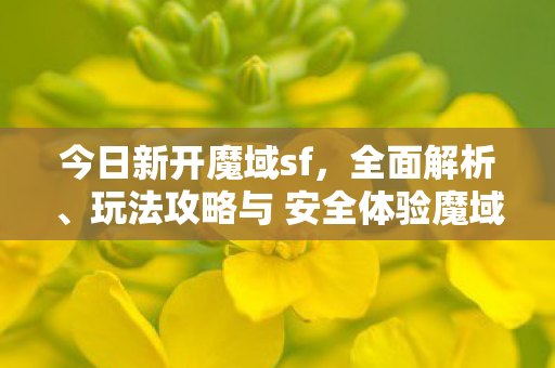 今日新开魔域sf，全面解析、玩法攻略与 安全体验魔域私服发布网刚刚开一天