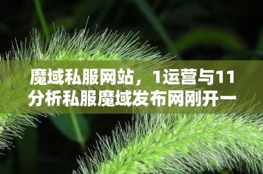 魔域私服网站，1运营与11分析私服魔域发布网刚开一秒
