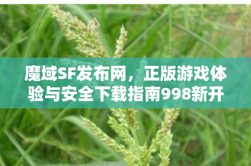 魔域SF发布网，正版游戏体验与安全下载指南998新开魔域私服