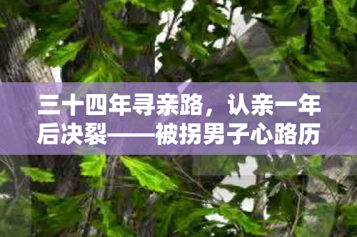 三十四年寻亲路，认亲一年后决裂——被拐男子心路历程揭秘