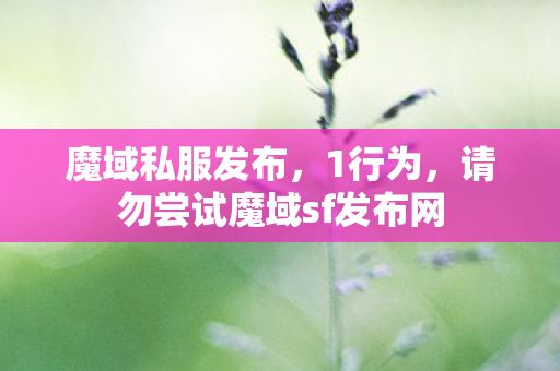 魔域私服发布，1行为，请勿尝试魔域sf发布网
