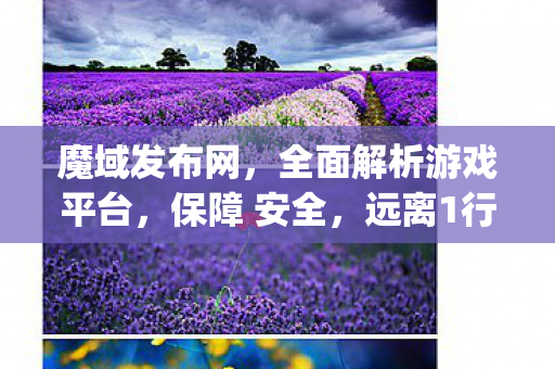 魔域发布网，全面解析游戏平台，保障 安全，远离1行为001mysf魔域发布网新开服
