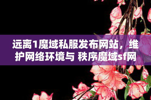 远离1魔域私服发布网站，维护网络环境与 秩序魔域sf网