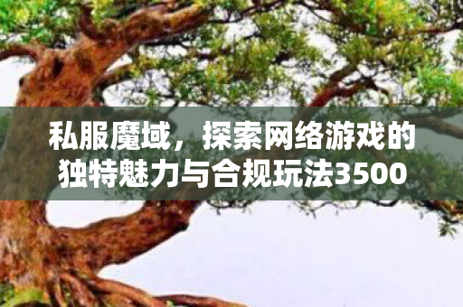 私服魔域，探索网络游戏的独特魅力与合规玩法350001魔域sf发布网刚开一秒