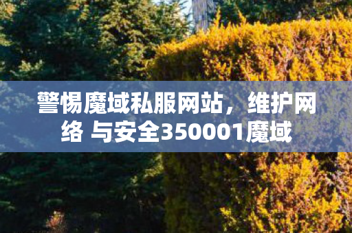 警惕魔域私服网站，维护网络 与安全350001魔域