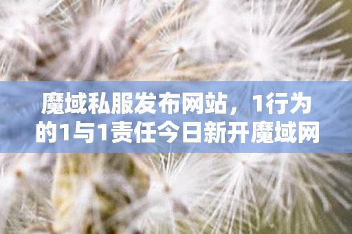 魔域私服发布网站，1行为的1与1责任今日新开魔域网站