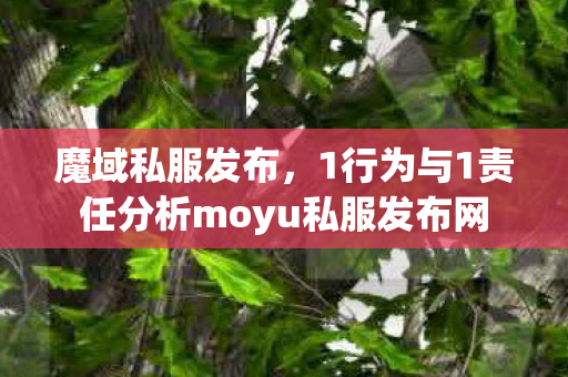 魔域私服发布，1行为与1责任分析moyu私服发布网