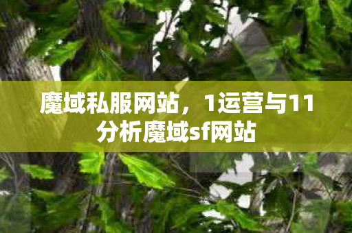 魔域私服网站，1运营与11分析魔域sf网站