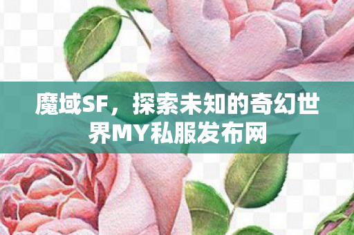 魔域SF，探索未知的奇幻世界MY私服发布网