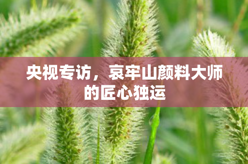 央视专访，哀牢山颜料大师的匠心独运