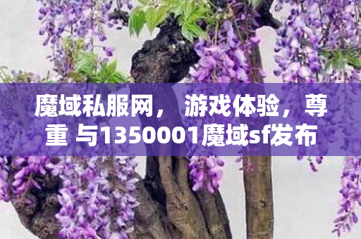 魔域私服网， 游戏体验，尊重 与1350001魔域sf发布网刚开一秒