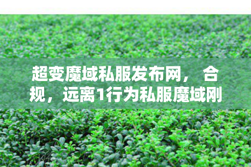超变魔域私服发布网， 合规，远离1行为私服魔域刚开一秒
