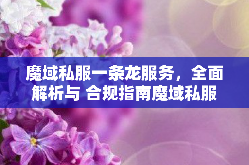 魔域私服一条龙服务，全面解析与 合规指南魔域私服网站