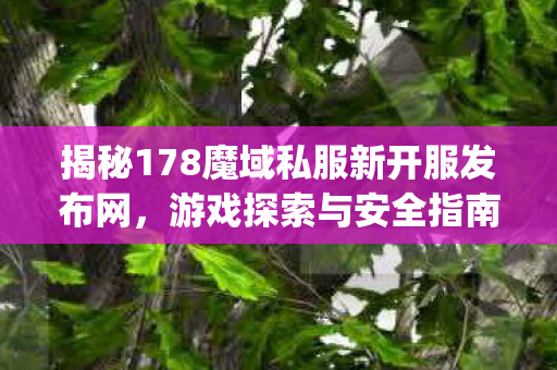 揭秘178魔域私服新开服发布网，游戏探索与安全指南350001my魔域发布网新开服