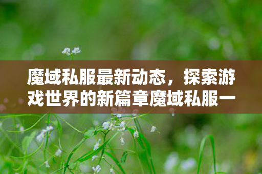 魔域私服最新动态，探索游戏世界的新篇章魔域私服一条龙
