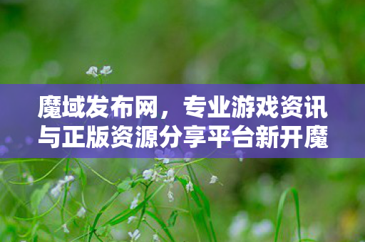 魔域发布网，专业游戏资讯与正版资源分享平台新开魔域公益服发布网