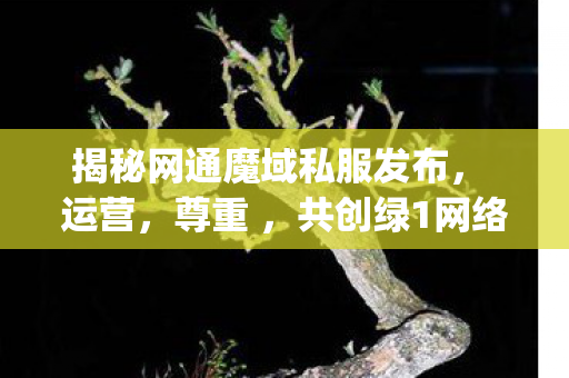 揭秘网通魔域私服发布， 运营，尊重 ，共创绿1网络环境moyu私服发布网