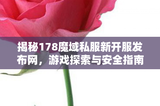 揭秘178魔域私服新开服发布网，游戏探索与安全指南魔域发布网