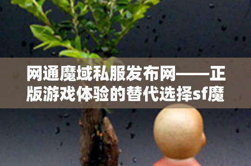 网通魔域私服发布网——正版游戏体验的替代选择sf魔域
