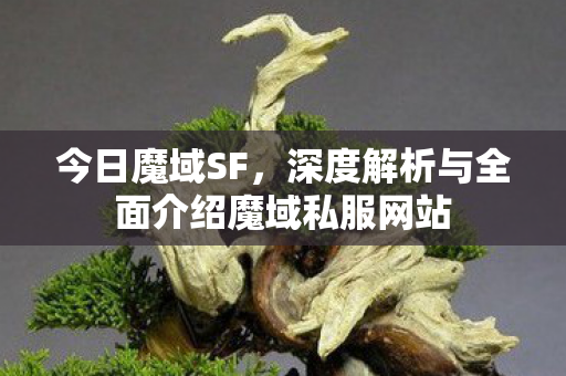 今日魔域SF，深度解析与全面介绍魔域私服网站