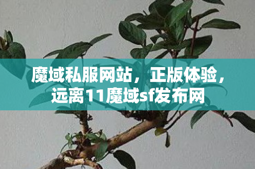 魔域私服网站，正版体验，远离11魔域sf发布网