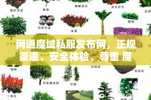 网通魔域私服发布网，正规渠道、安全体验、尊重 魔域新开变态私服