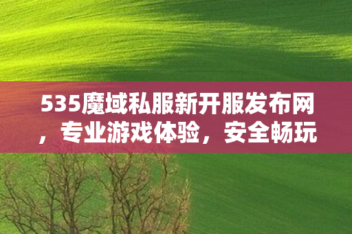 535魔域私服新开服发布网，专业游戏体验，安全畅玩新篇章新开的魔域私服发布网
