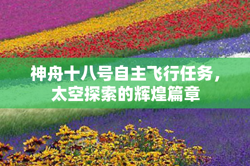 神舟十八号自主飞行任务，太空探索的辉煌篇章